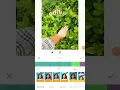 Download Lagu Melepas Lajang versi balasan ceweknya. 😃
