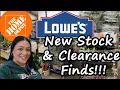Home Depot Lowe s Plant Shop With Me What s in this Location