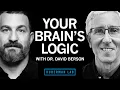 Download Lagu Your Brain's Logic \u0026 Function | Dr. David Berson