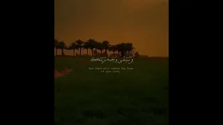 كل من عليها فان القارئ محمد المنشاوي حالات واتس اب دينية قصيرة راحة نفسية سبحان الله 