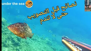 قبل أن تصوب هذا ما يجب فعله                                         دندنها