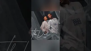 the veil vuleka