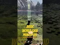 Building with the World Grid