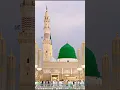 Download Lagu Qalbi Fil Madina (vocal only) #love #whatsapp