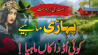 Dukhi Pahari Mahiye دکھی پہاڑی ماہیے Hindko Latest Mahiye 