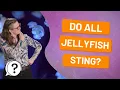 Do all jellyfish sting But Why Bites