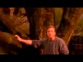 Download Lagu Collin Raye - Love, Me (If You Get There Before I Do)