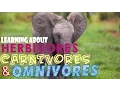 Learning About Herbivores Carnivores and Omnivores