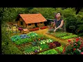 Lagu CEO Left the City to Renovate the Wilderness Garden to A Harvest Heaven - TIMELAPSE