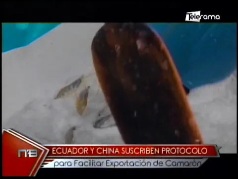 Ecuador y China suscriben protocolo para facilitar exportación de camarón
