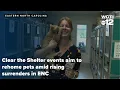 Clear the Shelter events aim to rehome pets amid rising surrenders in ENC