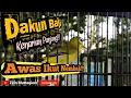 Download Lagu Pleci dakbal nembak kenari|pleci nembak kenarian|dakbal males bunyi akan langsung nyaut dengar ini