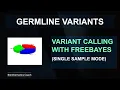 variant calling with freebayes tutorial on single samples