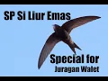 Suara Panggil Si Liur Emas Special For Juragan Walet | GABRIEL TUTORIAL CHANNEL