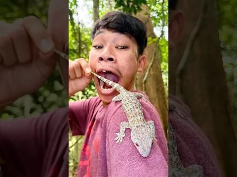 Gekgo SURVIVAL Hacks! #survival #bushcraft #camping #gekgohacks