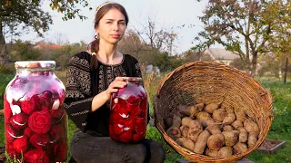 Download Life in the village! Harvesting BEETROOT and  preparing Ukrainian beets KVASS for special dish MP3