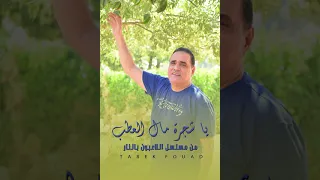 طارق فؤاد يا شجرة مال العطب 