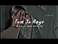 Download Lagu Tum Mile Lofi Song