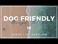 Two Very Pet - Dog Friendly Excursions Things to do in Ocean City Maryland