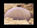Discovery Zone - Supernatural (Extended) Official Video