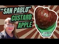 Our First San Pablo Custard Apple Creamy Berry-Like Full of Surprises