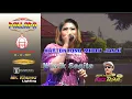 KARTONYONO MEDOT JANJI | Wiwik Sagita ft. New Pallapa Official | ( 🔊 Live konser terbaru 2019 )