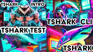ULTIMATE 3 Hour Network Sniffing Tutorial - TShark Tutorial