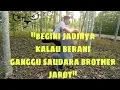AKIBAT BERANI SAMA GANK BROTHER JAROT.