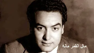 محمد فوزي مال القمر ماله دندنها