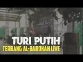 Download Lagu TERBANG AL-BAROKAH - TURI PUTIH LIVE at PONPES WASILATUL HUDA | HAOL KE-7 KH. A. HASAN AMIRUDIN