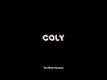 Text Glitch Animation for Your Website Using HTML CSS Coly Developer Code