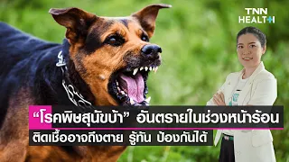 ถ้าโดนสัตว์กัดโดยไม่แน่ใจว่าติดเชื้อพิสุนัขบ้าหรือไม่ ควรทำอย่างไรทันที