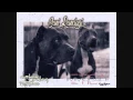 Download Lagu CANI RANDAGI - DEKA\u0026STOKE (ETICA IMMORALE MIXTAPE)