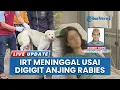 Download Lagu Digigit oleh Anjing Rabies, Seorang Ibu Rumah Tangga di Manggarai Berakhir Meninggal Dunia