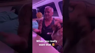 When you really want that hamburger!!! Foxy Tuesday’s #foxytuesday #shorts #doglife