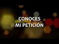 C0029 TAN SOLO HE VENIDO - Juan Luis Guerra (Letra)