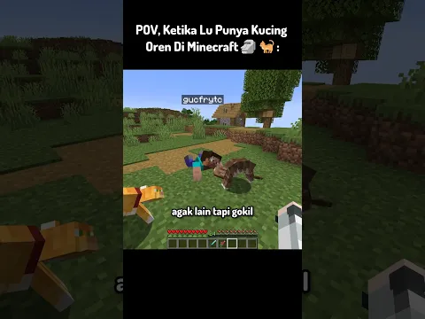 POV, Ketika Lu Punya Kucing Oren Di Minecraft