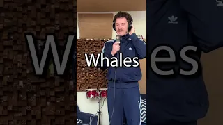 Whalesong
