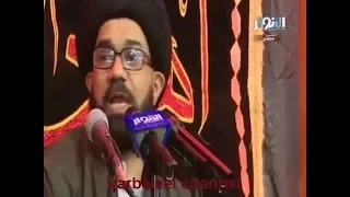 دور الامام الصادق ع في اظهار فضائل الامام علي ع - السيد محمد الصافي