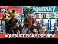 Aqueduct FREE Pick 5 Bets Blinkers Off 757