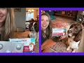 One Pill For Fleas Ticks AND Heartworm Simparica Trio Review