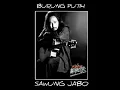 Download Lagu Sawung Jabo - Burung Putih