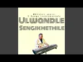 Download Lagu Sengikhethile