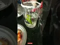 Download Lagu Bacardi Limon Cocktail | Weekend Vibe | Mixology | Chilly | Lemon | Salt | #shorts #mojito #cocktail