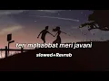 Download Lagu Teri_Mohabbat_Meri_Jawani_(slowed+revreb)_Salma_Agha_Mohammad_Aziz_song_lofi
