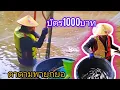 Download Lagu ยกยออำเภอแม่สรวยบัตร 1,000 บาทม่วนๆมันๆหมานๆ