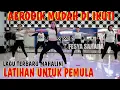 Download Lagu LATIHAN AEROBIK PEMULA | SENAM LAGU TERBARU