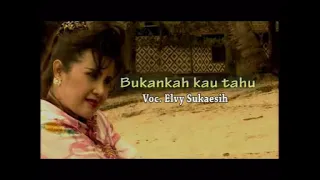 elvy sukaesih bukankah kau tahu clip lirik 