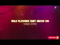 Nao - Wildflowers (Lyrics)