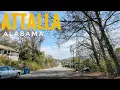 ATTALLA AL What a nice surprise MUST SEE